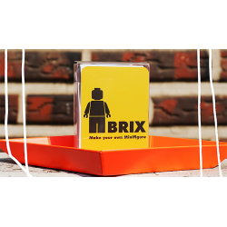 BRIX (Gimmick and Online Instructions) by Mr. Pearl and ARCANA - Trick wwww.magiedirecte.com