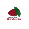 Super-Soft Sponge Strawberries - Timothy Pressley wwww.magiedirecte.com