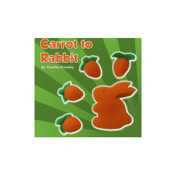 Sponge Carrot Rabbit - Timothy Pressley wwww.magiedirecte.com