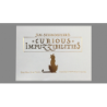CURIOUS IMPUZZIBILITIES - Jim Steinmeyer wwww.magiedirecte.com