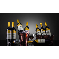 Sunshine Multiplying Wine Bottles by Tora Magic - Trick wwww.magiedirecte.com
