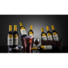 Sunshine Multiplying Wine Bottles by Tora Magic - Trick wwww.magiedirecte.com