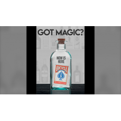 3DT / GOT MAGIC? (Gimmick and Online Instructions) by JOTA - Trick wwww.magiedirecte.com