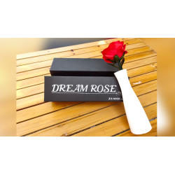 DREAM ROSE - JL Magic wwww.magiedirecte.com