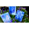 Frozen 2 Spirits Queen Ver Deck by JL Magic - Trick wwww.magiedirecte.com