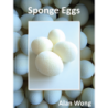 Sponge Eggs (4pk.) by Alan Wong - Trick wwww.magiedirecte.com