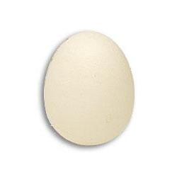 Foam Egg ( 1 egg is 1 unit) Goshman wwww.magiedirecte.com