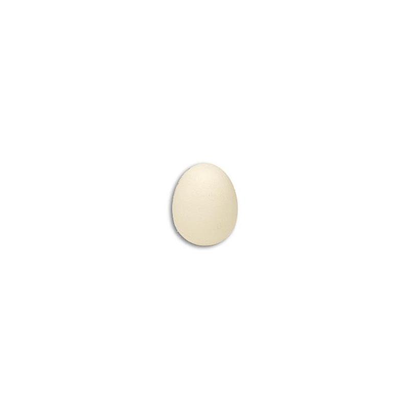 Foam Egg ( 1 egg is 1 unit) Goshman wwww.magiedirecte.com