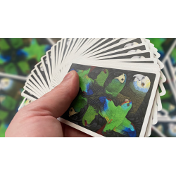 Parrot Prototype Playing Cards wwww.magiedirecte.com