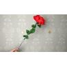 Wilting Rose by Strixmagic - Trick wwww.magiedirecte.com