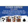FLUSHED SURPRISE - Paul Gordon wwww.magiedirecte.com