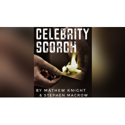 Celebrity Scorch (Downey Jr & Beckham) by Mathew Knight and Stephen Macrow wwww.magiedirecte.com