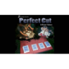 Perfect Cut Gimmick Deck by Jeff Nolasco and JL Magic - Trick wwww.magiedirecte.com