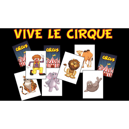 Tours de Magie VIVE LE CIRQUE - Sébastien Delsaut - Magie pour