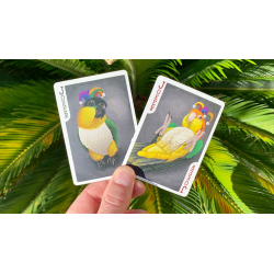 Bicycle Parrot Playing Cards wwww.magiedirecte.com