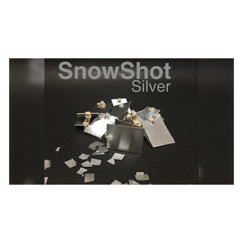 SNOWSHOE SILVER - (10 pièces.) wwww.magiedirecte.com