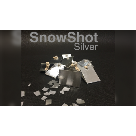 SnowShot SILVER (10 ct.) by Victor Voitko (Gimmick and Online Instructions) - Trick wwww.magiedirecte.com