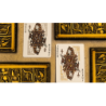 Gods of Egypt (Red) Playing Cards by Divine Playing Cards wwww.magiedirecte.com
