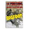 Bigfoot L&L Nick Trost trick wwww.magiedirecte.com