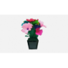 Flower Pot V2 to Blendo (HAPPY BIRTHDAY) by JL Magic - Trick wwww.magiedirecte.com