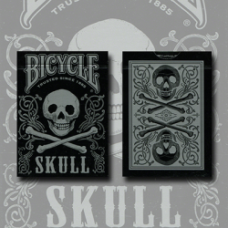 Bicycle Skull Metallic (Silver) USPCC by Gambler's Warehouse wwww.magiedirecte.com