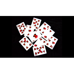 Shadows Playing Cards wwww.magiedirecte.com