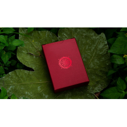 Solstice Playing Cards by Kings Wild wwww.magiedirecte.com