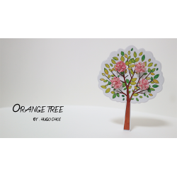 Orange Tree (Gimmick and Online Instructions) by Hugo Choi - Trick wwww.magiedirecte.com