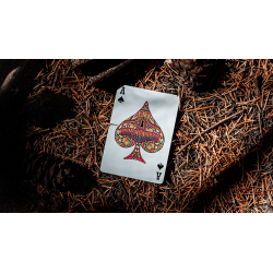 Psychonauts Playing Cards by Joker and the Thief wwww.magiedirecte.com