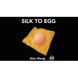 Silk To Egg (Brown/with Yellow silk) by Alan Wong - Trick wwww.magiedirecte.com