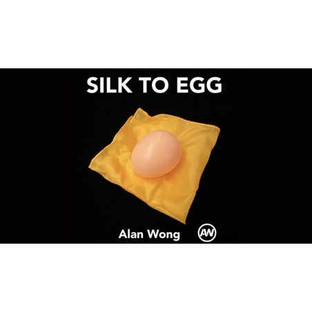 Silk To Egg (Brown/with Yellow silk) by Alan Wong - Trick wwww.magiedirecte.com