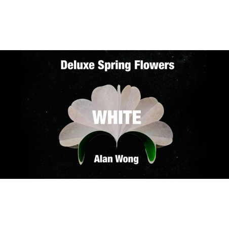 Deluxe Spring Flowers WHITE by Alan Wong - Trick wwww.magiedirecte.com