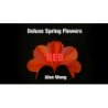 Deluxe Spring Flowers Rouge - Alan Wong wwww.magiedirecte.com