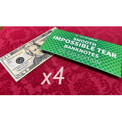 Impossible Tear Bank Notes USD (Gimmicks and Online Instructions) by MagicWorld - Trick wwww.magiedirecte.com