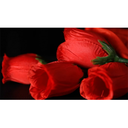 The Rose 2.0 (Red) by Bond Lee & Wenzi Magic - Trick wwww.magiedirecte.com