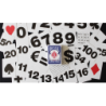Bicycle Special NUMBERS Blue Playing Cards (plus 11 Online Effects) wwww.magiedirecte.com