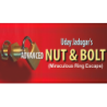 Advanced Bolt and Nut - Uday Jadugar wwww.magiedirecte.com