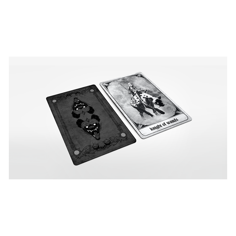Jeux de Cartes SHAWN COSS TAROT DECK MAGIE DIRECTE