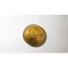 Bit Coin Shell (Gold) by SansMinds Creative Lab wwww.magiedirecte.com