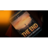 THE END BOOK TEST / Angelo Carbone wwww.magiedirecte.com