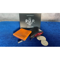 PUP (set) - David Regal wwww.magiedirecte.com