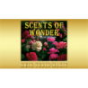 Scents of Wonder - Todd Karr wwww.magiedirecte.com