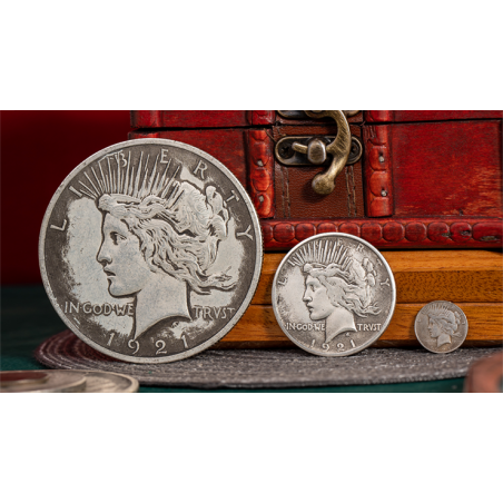 Mini Peace Dollar (Pack of 5 coins) by N2G wwww.magiedirecte.com
