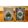 Bicycle Balloon Desert Playing Cards wwww.magiedirecte.com