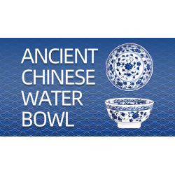 Ancient Chinese Water Bowl - JT wwww.magiedirecte.com