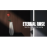 Eternal Rose - Bond Lee wwww.magiedirecte.com