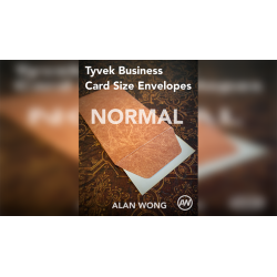 Tyvek Business Card Size Envelopes (10 pk.) - Alan Wong wwww.magiedirecte.com