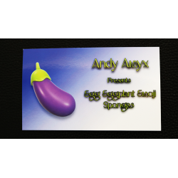 Sponge Emoji EGGPLANT (4PK.) - Andy Amyx- Trick wwww.magiedirecte.com