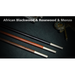 Professional Magic Wand 2.0 (Rosewood) by TCC - Trick wwww.magiedirecte.com