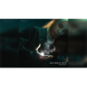 Illuminate (Version 1, Fade in) by Joseph Lee & Zio wwww.magiedirecte.com